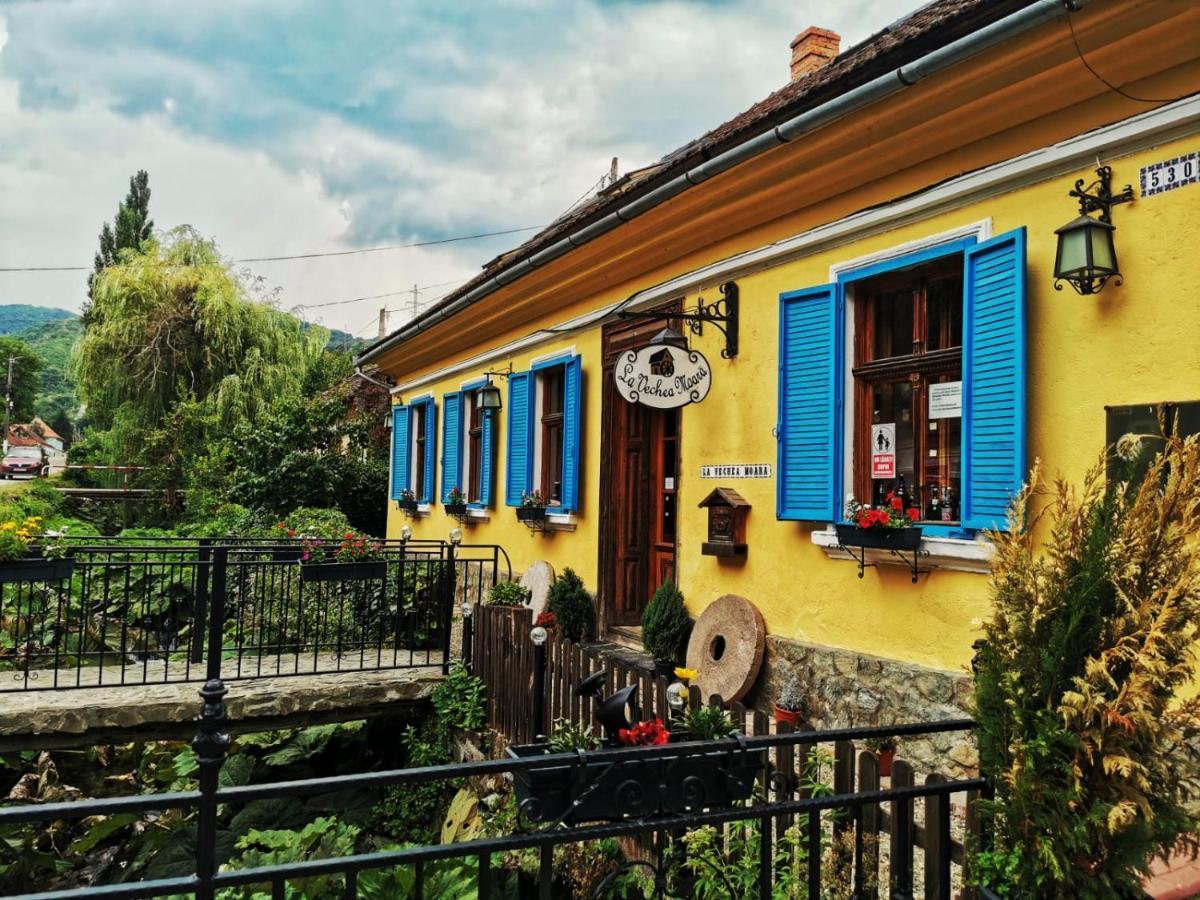 Sasca Montană Casa Borcean 2旅馆 外观 照片